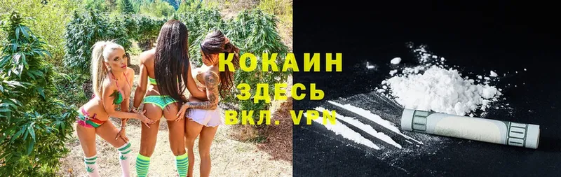 Что такое Луга АМФЕТАМИН  Cocaine  ГАШ  Бошки Шишки  А ПВП 